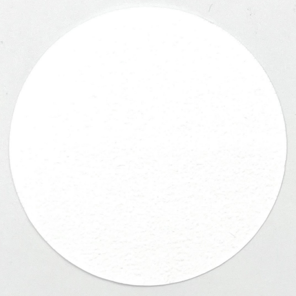 BLF Filter Cam Elyaf Filtre - 47 mm - 1.2µm 100 Adet/Paket